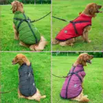 Waterproof Furry Jacket for Dogs of All Sizes - Image 8