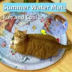 Summer Fun Pet Water Mat