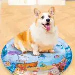 Summer Fun Pet Water Mat - Image 4