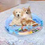 Summer Fun Pet Water Mat - Image 7