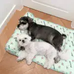 CATS/DOGS COOLING BED - Image 4