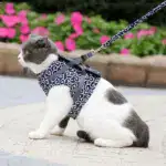 2024 New Year Hot Sale Cat Dogs Vest Harness and Leash Anti-break Away Chest Strap Cat Clothes