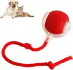SpinKit pets ball - Image 2