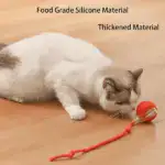 SpinKit pets ball - Image 6
