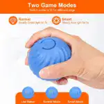Electric Rolling Pet Toy Ball