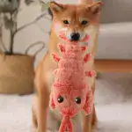 Floppy Lobster Interactive Dog Toy
