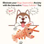 Floppy Lobster Interactive Dog Toy - Image 2