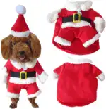 Festive Santa Claus Pet Costume Set - Image 2