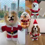 Festive Santa Claus Pet Costume Set - Image 6