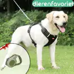 Reflective Dog Walking Rope Pet Supplies - Image 3