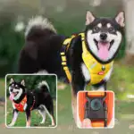Reflective Dog Walking Rope Pet Supplies - Image 7
