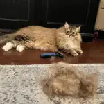 Pet Grooming Brush – Double Sided Shedding And Dematting Undercoat Rake Comb - Image 6